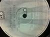 descargar álbum Posithieves - Show Me Love