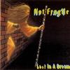 descargar álbum Not Fragile - Lost In A Dream