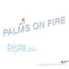 online anhören Palms On Fire - Birds in supermarket