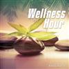 télécharger l'album Various - Wellness Hour Volume 1