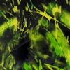 descargar álbum Varg - Fuck Varg