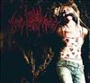 Album herunterladen Final Redemption - Demo