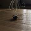 last ned album Okada Takuro + Duenn - Mujo