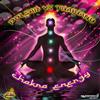 télécharger l'album Pulsar & Thaihanu - Chakra Energy