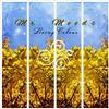 kuunnella verkossa Mr Moods - Living Colour