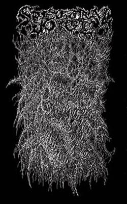 Download Spectral Voice - Tour Promo MMXVI