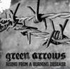 last ned album Green Arrows - Rising From A Burning Desease