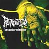 escuchar en línea Reinfection - Secondary Damage