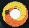 last ned album Los Wawanco - Roberto Ruiz Con Un Clavelito
