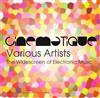 baixar álbum Various - The Widescreen Of Electronic Music