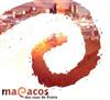 ouvir online Macacos Das Ruas De Évora - Macacos Das Ruas De Évora