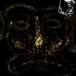 Download Zeffon - Agor 3 aPofESoraPAiS