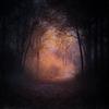 last ned album Auaesuve - Languished Aeons In Ruins Demo