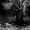 lyssna på nätet Drowning The Light - Dead Soul Requiem