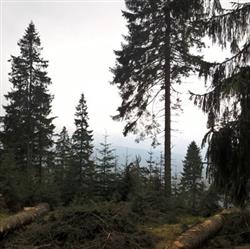 Download Docetism - Nebel
