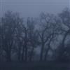 Album herunterladen Frozen Silence - Impressions