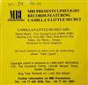 last ned album Camilla's Little Secret - ep