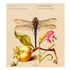 écouter en ligne Arcadia , Attilio Cremonesi G F Haendel - Solo Trio Sonatas