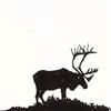 Album herunterladen Forest City Lovers - The Sun And The Wind