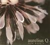 ladda ner album Aurelius Q - Folk Ways 2