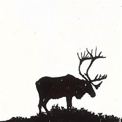 Download Forest City Lovers - The Sun And The Wind