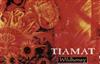 lataa albumi Tiamat - Wildhoney The Astral Sleep