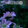 online luisteren The Equator Orchestra - Earth Flavor