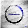 Album herunterladen Vlada D'Shake - Nostalgic Memories