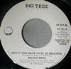 Wilson Bros - Whyd You Have To Be So Beautiful