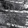 télécharger l'album Prurient Hanged Mans Orgasm - In The Ashes Of Science We Fall In The Peeling Birch We Remain