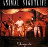 Album herunterladen Animal Nightlife - Shangri La