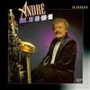 last ned album André Moss - 18 Karaats