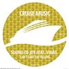 Sound Of Joy Feat Virág - Cant Fake The Feeling