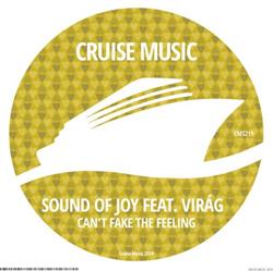 Download Sound Of Joy Feat Virág - Cant Fake The Feeling
