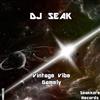 kuunnella verkossa DJ Seak - Vintage Vibe Gamely