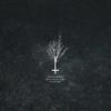 descargar álbum Christian Gerlach - When It All Turns To Grey