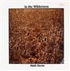 télécharger l'album Mark Reeve - In The Wilderness