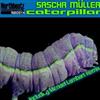 ouvir online Sascha Müller - Caterpillar