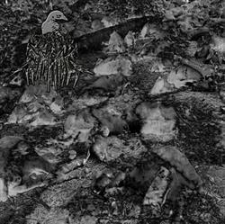 Download Death Omang - Death Omang