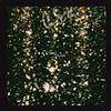 baixar álbum L'Objet - Plank