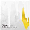 télécharger l'album Flow - Snow Flake 記憶の固執Pulse