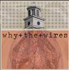baixar álbum Why The Wires - All These Dead Astronauts