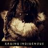Album herunterladen Raging Indigenous - Raging indigenous