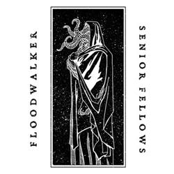 Download Floodwalker senior fellows - Floodwalker Senior Fellows
