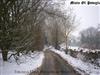 descargar álbum Mists Of Poveglia - Through Dark Meadows Winter Forests