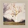 online anhören Eiren Caffall - Slipping The Holdfast