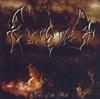 Forgotten Forests - Spirits Of The Ash