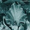 Acidsound - Inscrutable Two