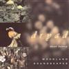 online anhören Geoff Sample - Dryad Woodland Soundscapes