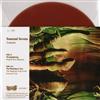 télécharger l'album Pamela Wyn Shannon The Magickal Folk Of The Faraway Tree - Seasonal Sevens Autumn